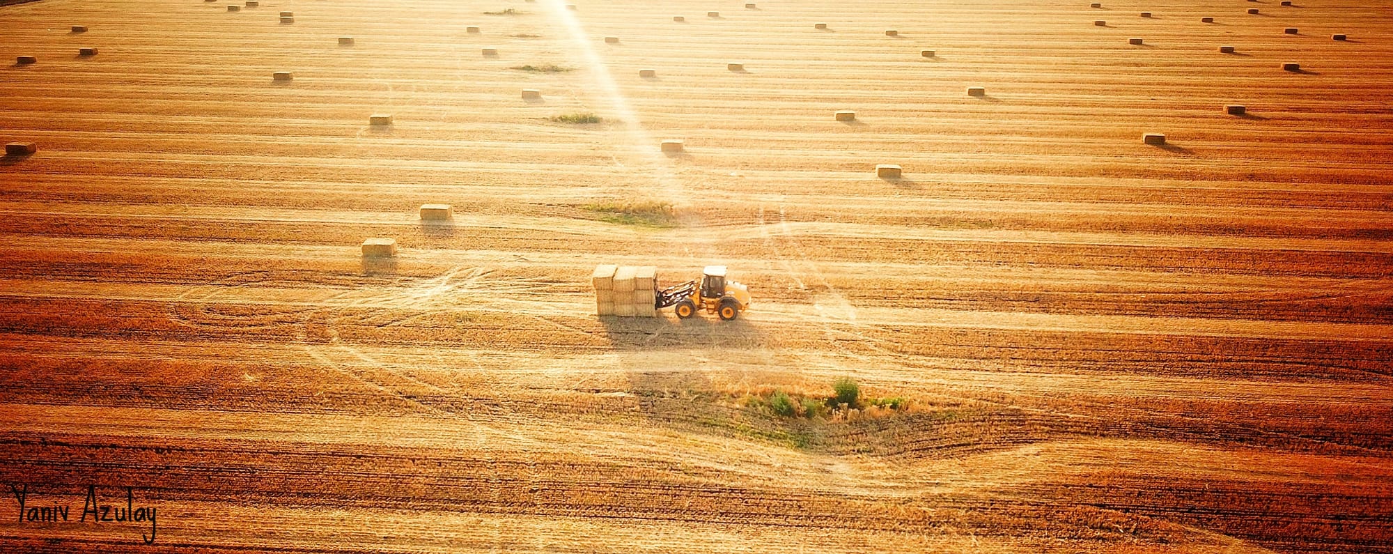 צילומי חקלאות 