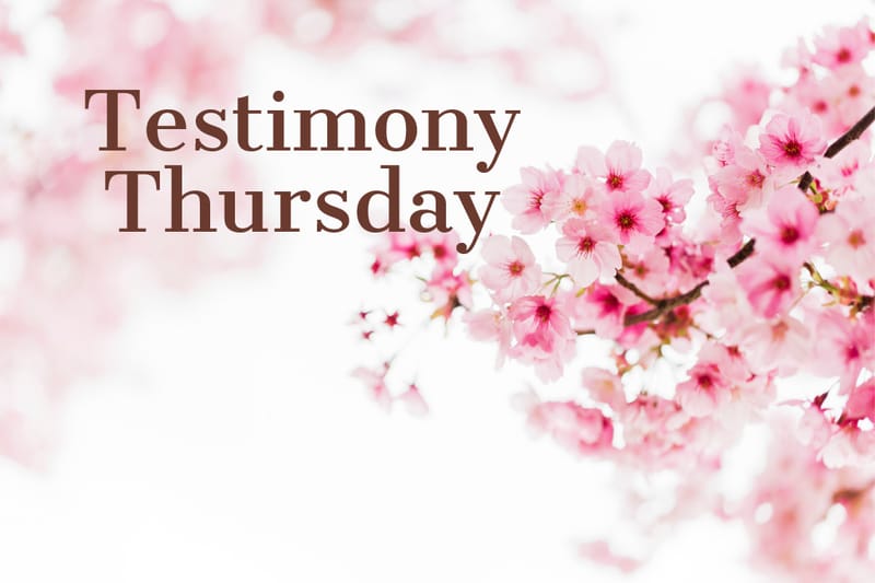 Testimony Thursday