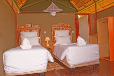 requirements for students travelling image