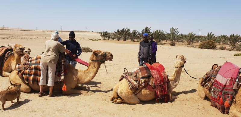 Swakopmund Namibia Itinerary 6 Days