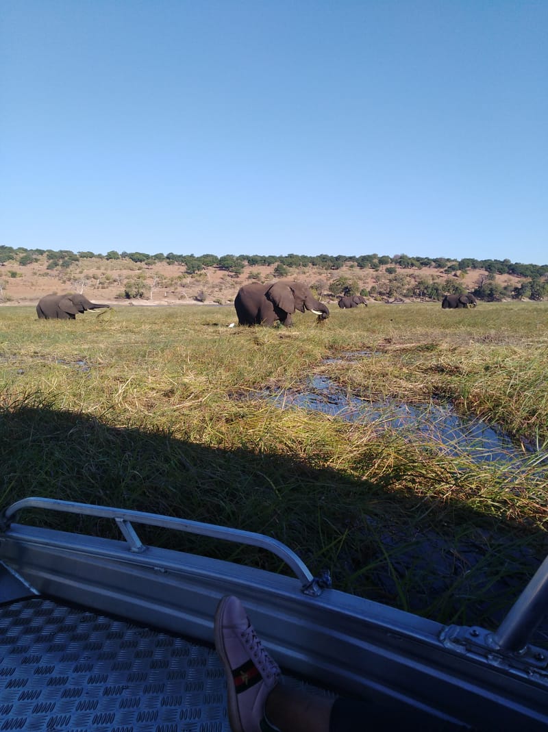 Kasane, Chobe via Victoria Falls Itinerary 5 Days