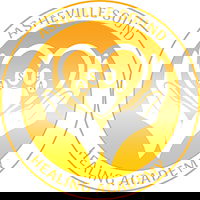 ashevillesoundhealingacademy.com