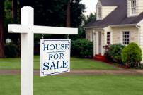 Real Estate WDI Inspections