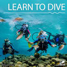 Diving Lessons