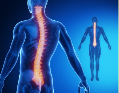 Geistige Wirbelsäulenaufrichtung