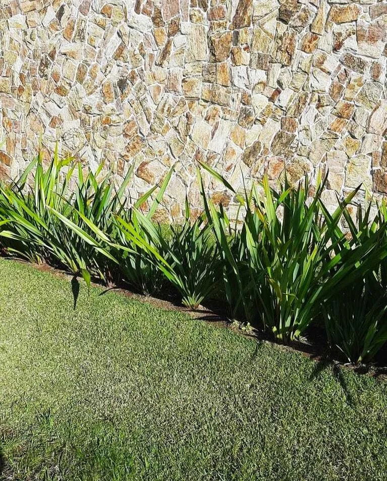 Pedra Miracema Regular e Irregular