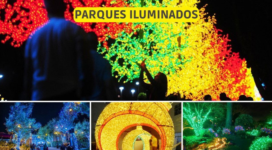 Vários projetos natalinos para comunidade