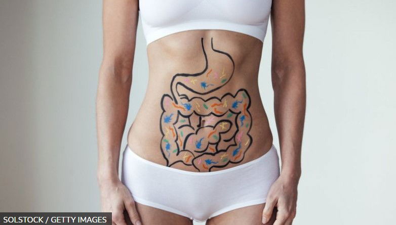 Por que eu deveria me preocupar com a minha saúde intestinal?