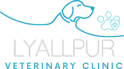 Lyallpur Veterinary Clinic