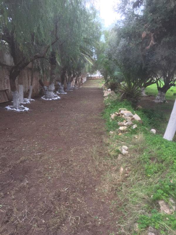 ساحة مدرسة شباب المكفوفين في حلة جديدة