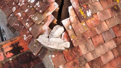 Roof Inspections through the eyes of a drone