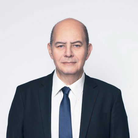 Consulting governments and public entities