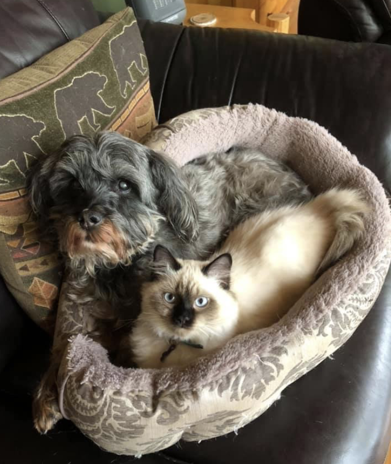 Maggie Continues to Improve with SSP!