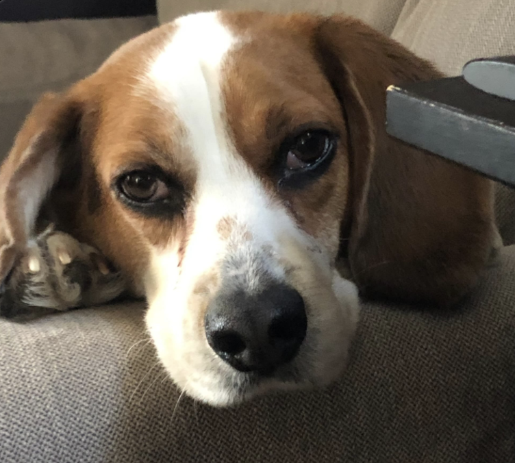 Jasper's SSP Experience - Every Nervous System is Different