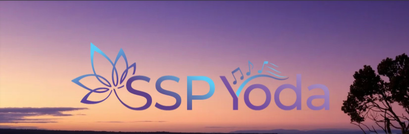 New!  Exclusive online community for SSP Yoda Informed providers.