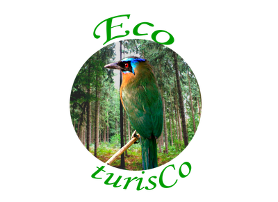 EcoturisCo