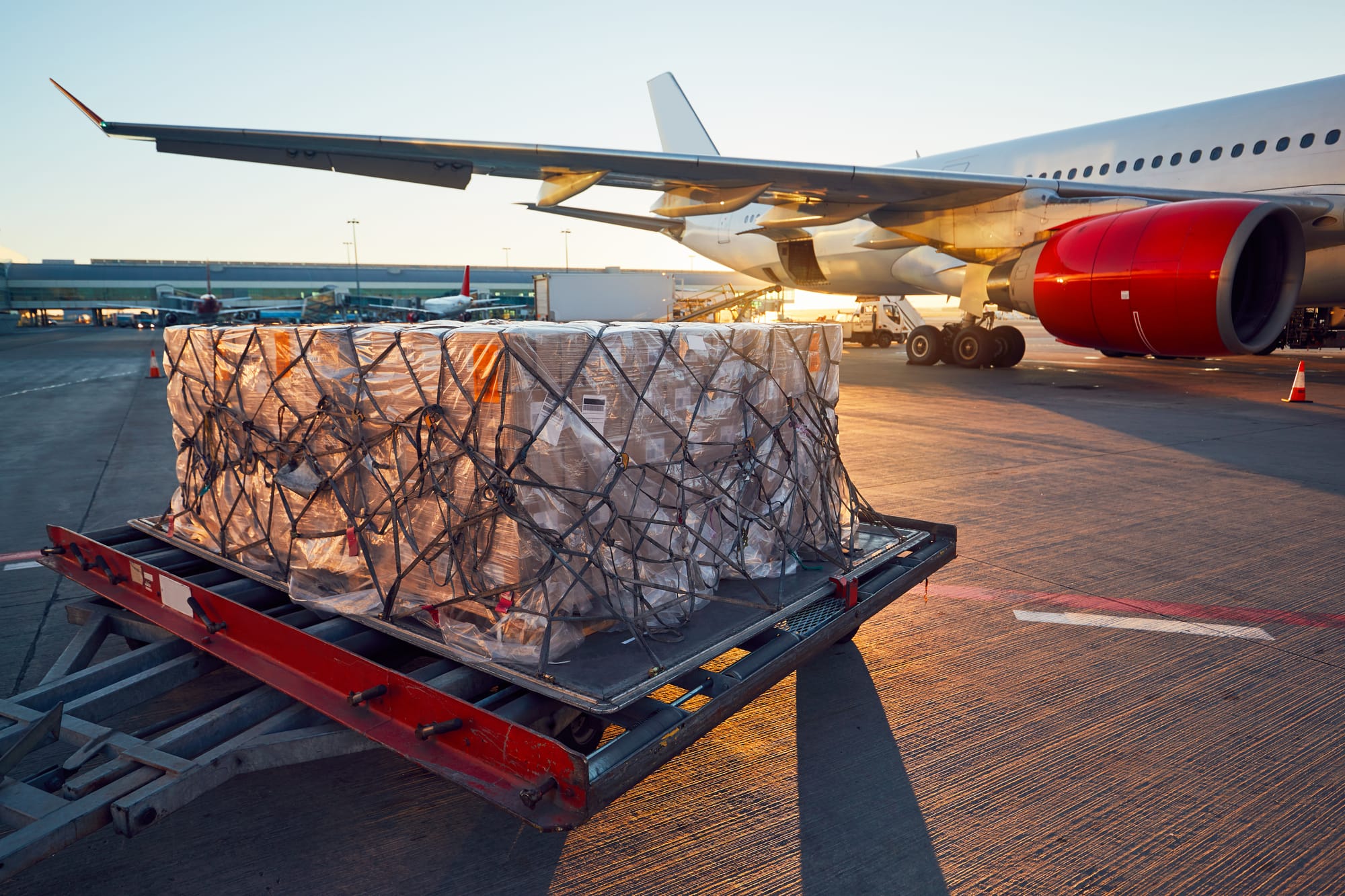 Shipping lines bold move to Airfreight