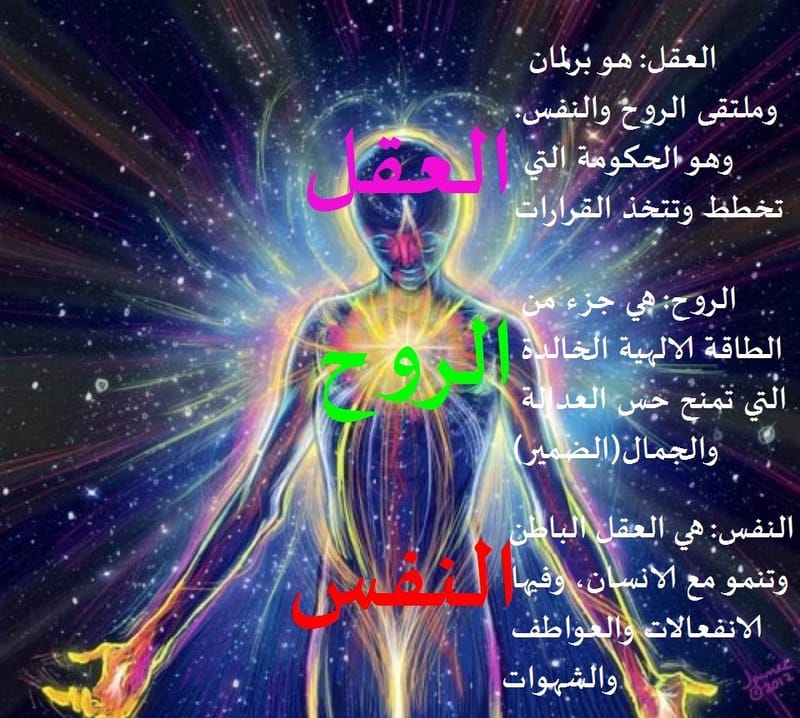 ألـقـاسـم المـشتـرك بـين العقل، الـجـسـد والـروح image
