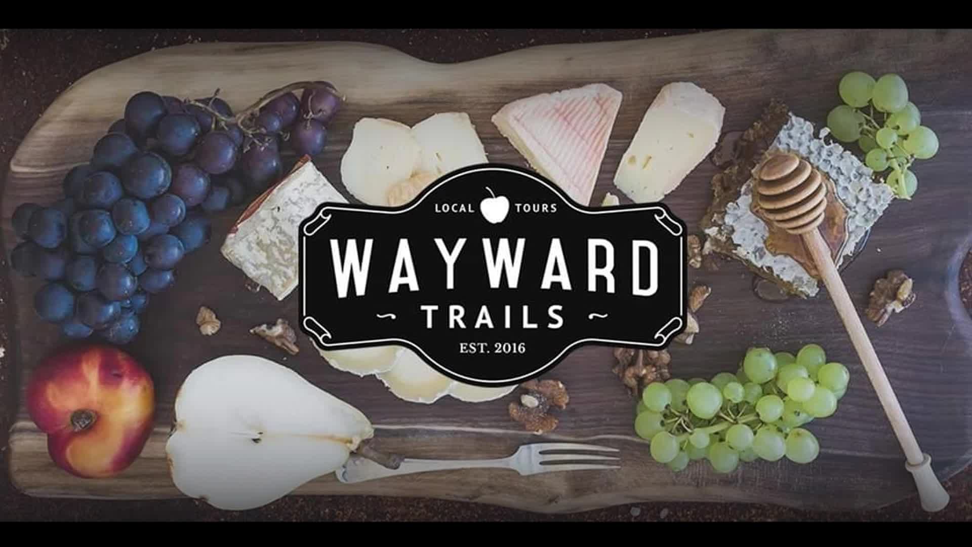 Video Creations for Business Promotion