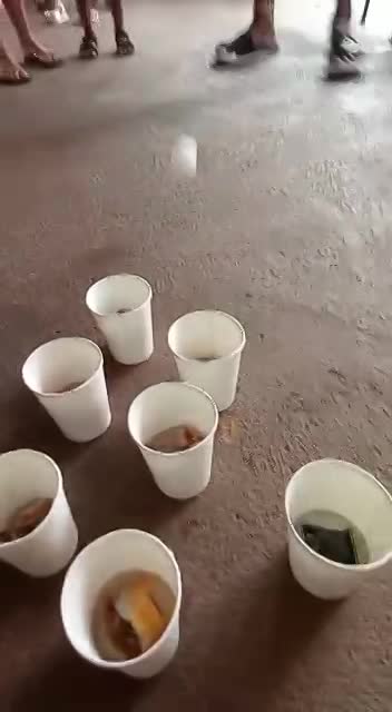 ANIMATION