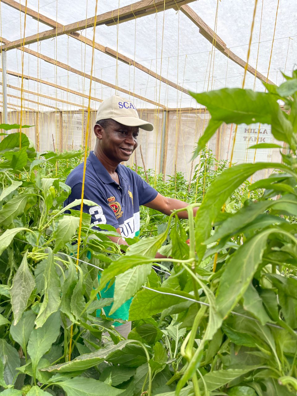 Donor Visits FSPR supported Greenhouse