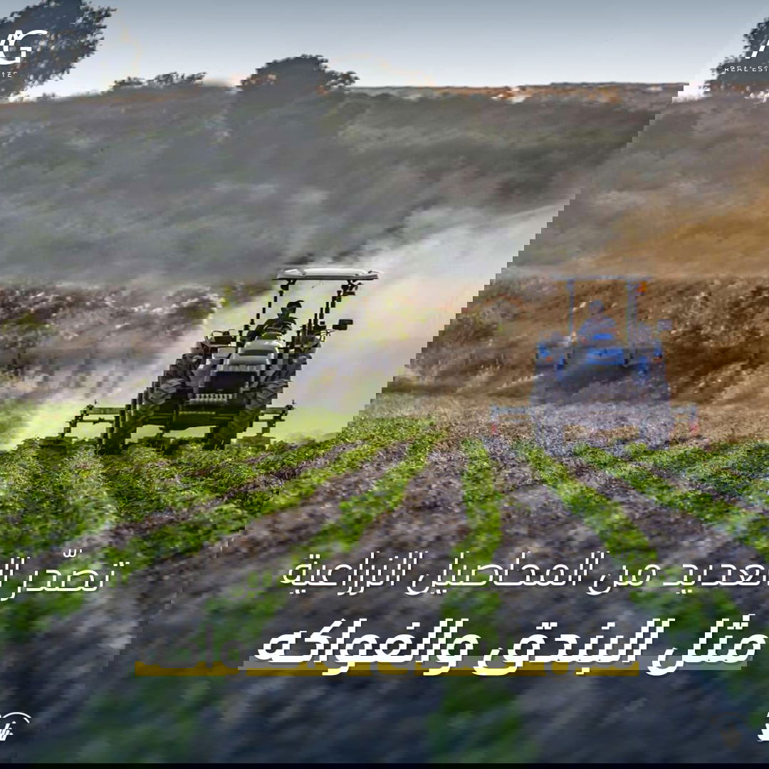 درة الشمال التركي