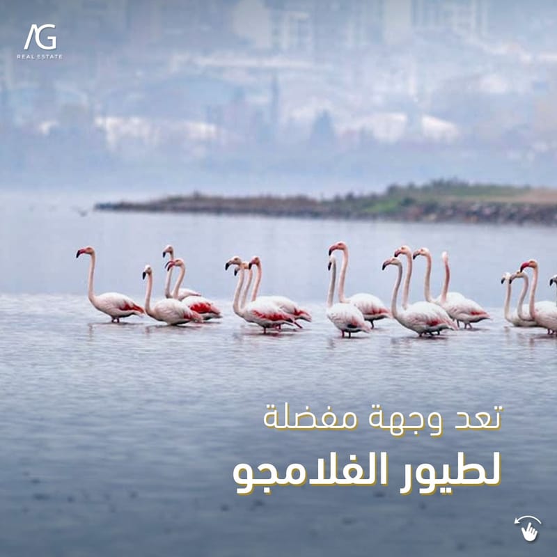 مدينة الإستثمار والسياحة