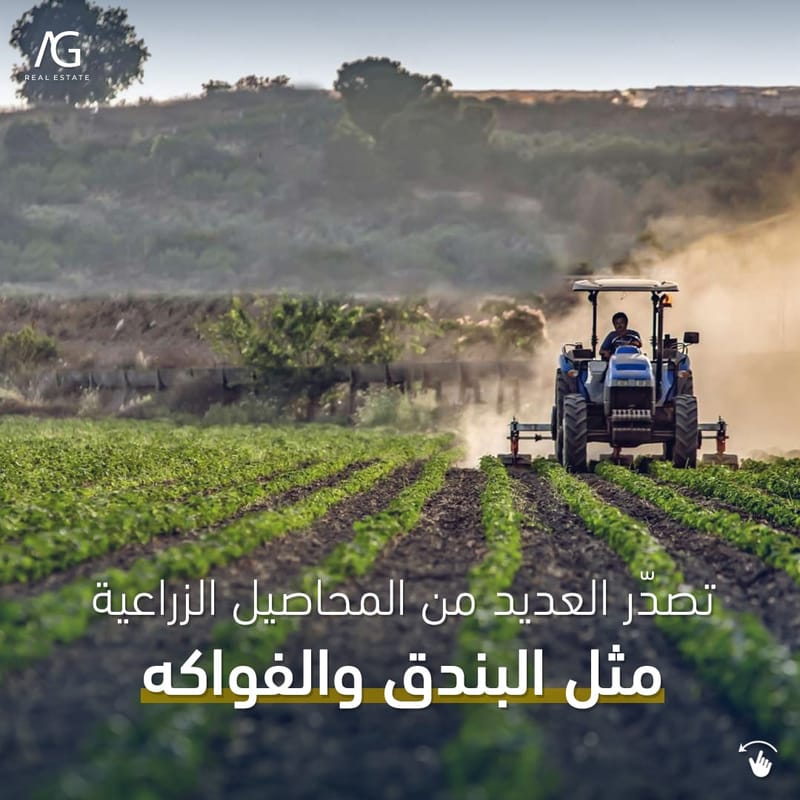 درة الشمال التركي