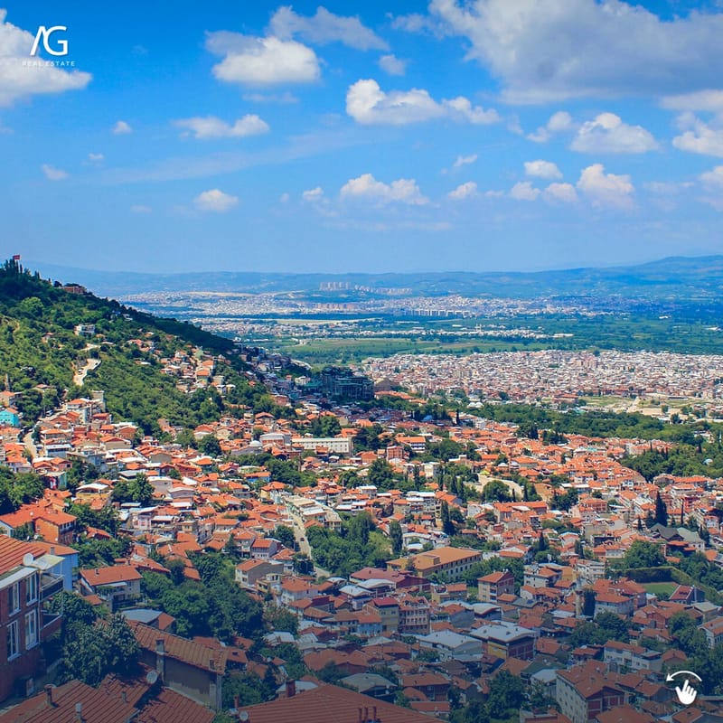 ذات الرداء الأخضر