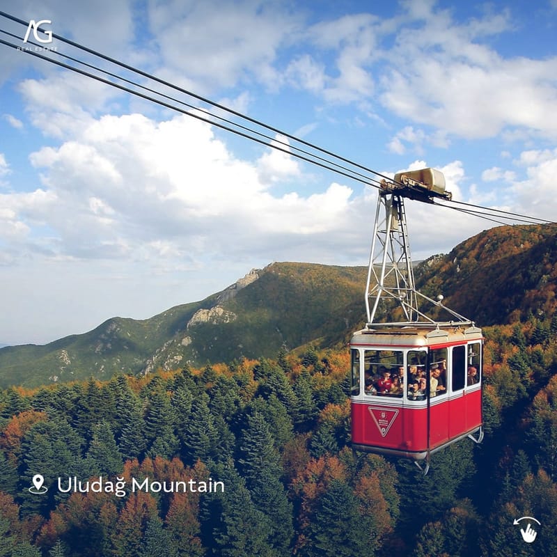 ذات الرداء الأخضر