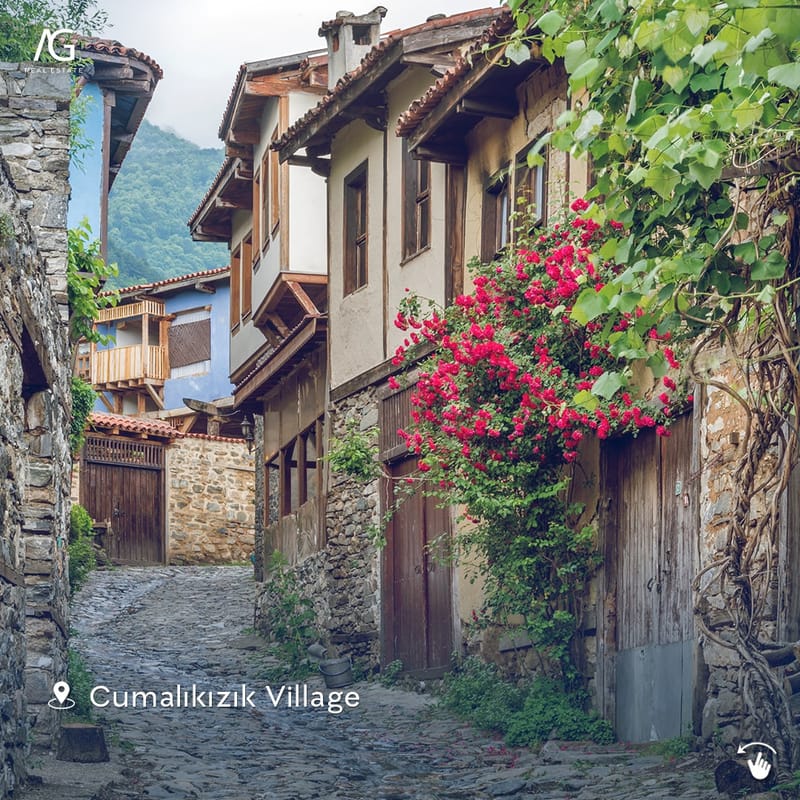 ذات الرداء الأخضر