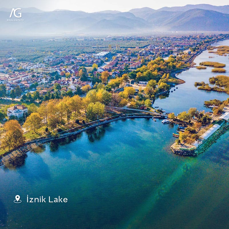 ذات الرداء الأخضر