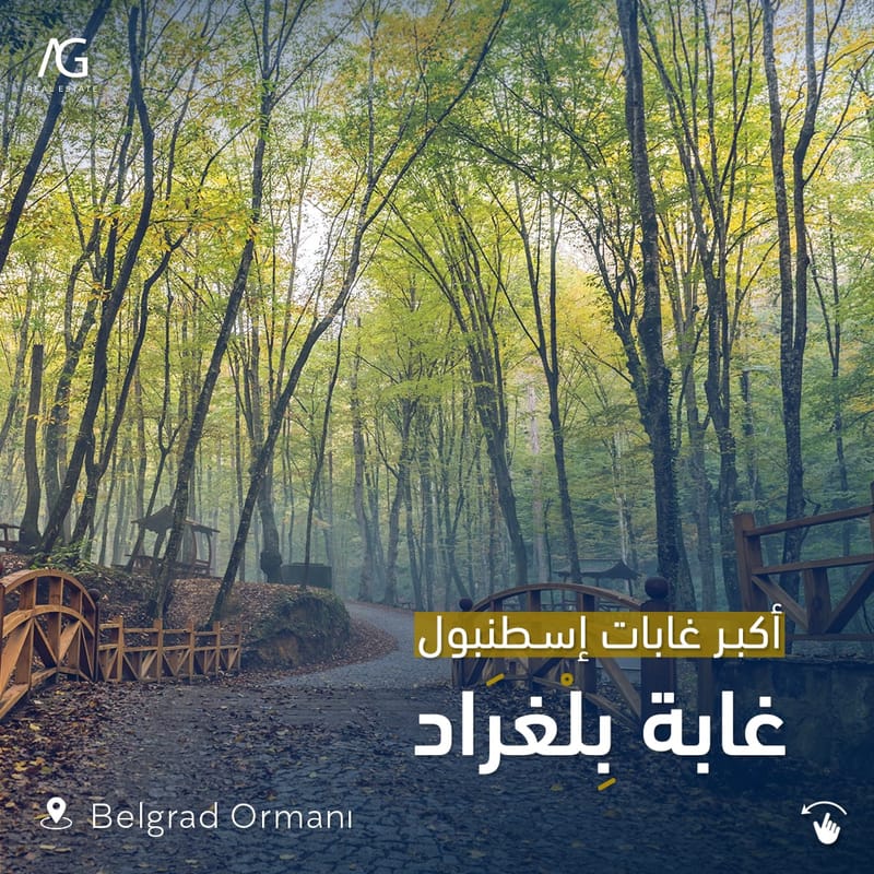 أكبر غابات إسطنبول