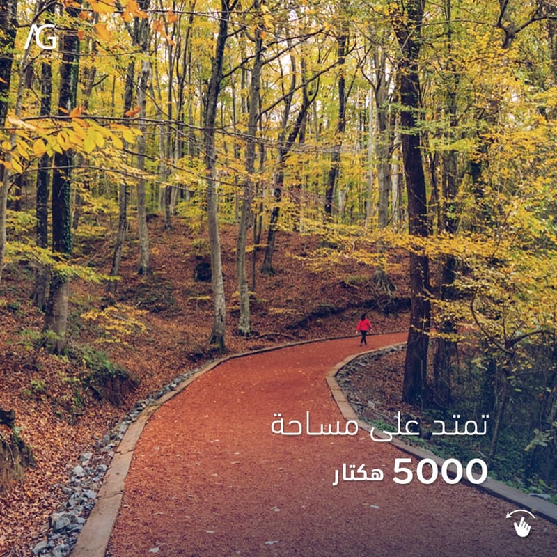 أكبر غابات إسطنبول