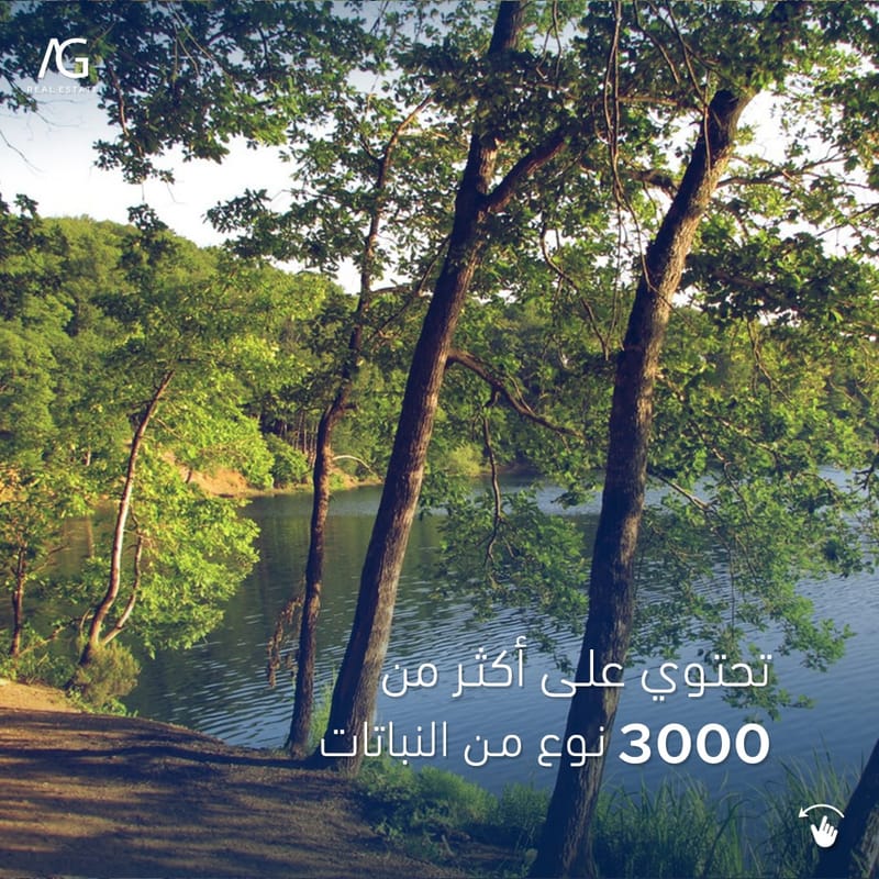 أكبر غابات إسطنبول