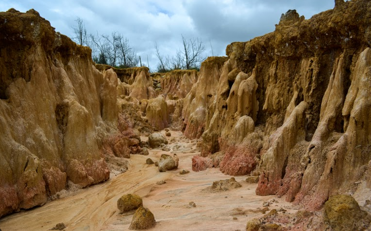 Mina de Sal + Desierto de Checua