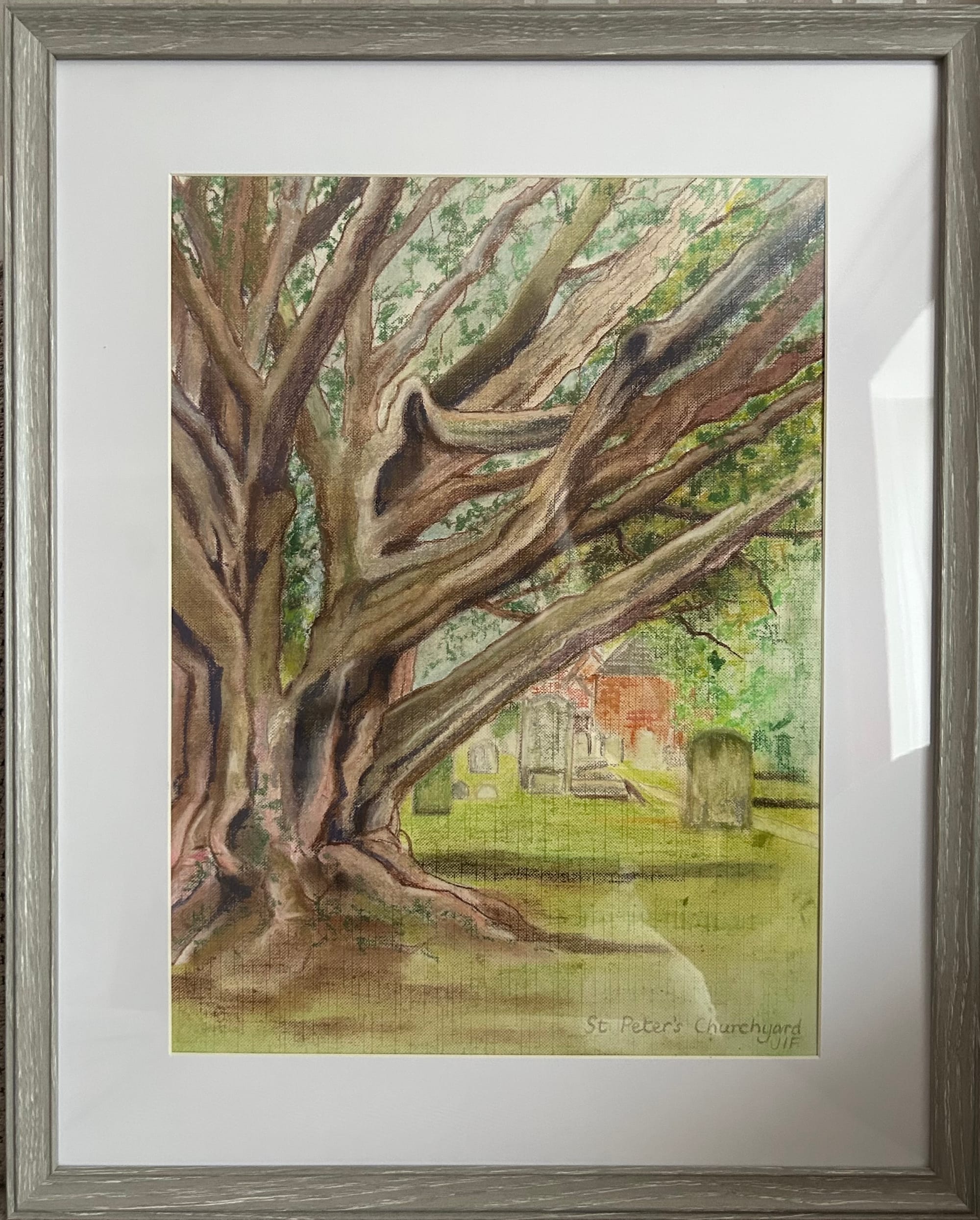 Yew Tree,