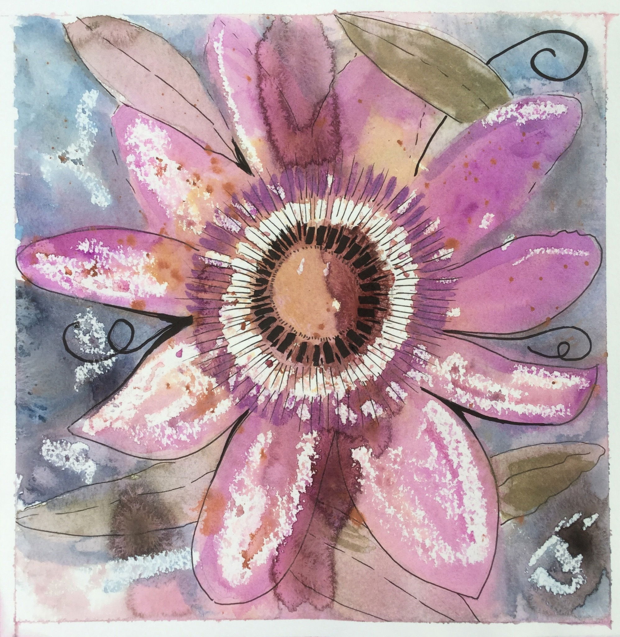 Passion Flower