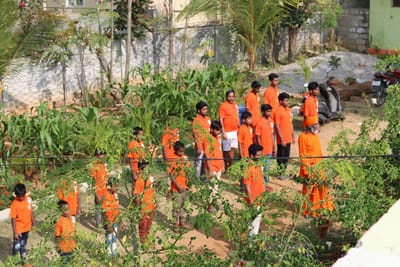 our activities  image