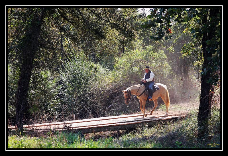 Civil War Reenactments