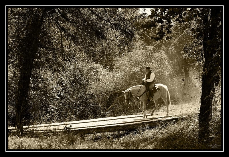 Civil War Reenactments
