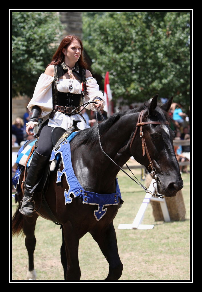 Medieval Fairs