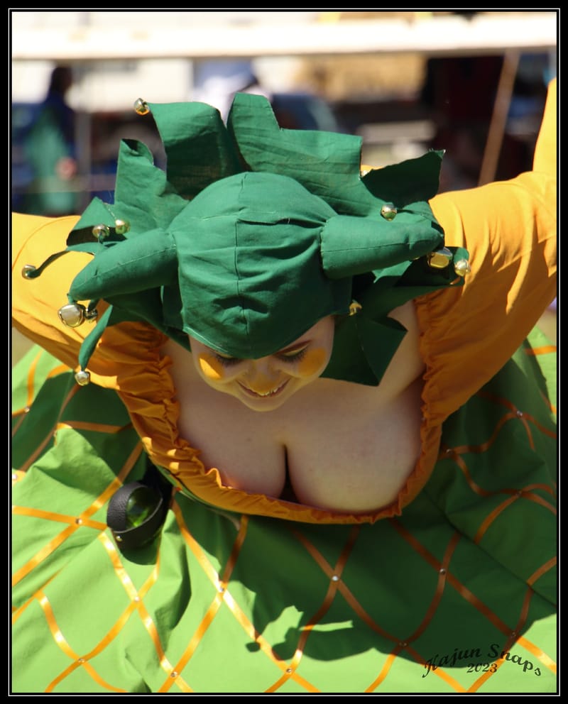 Medieval Fair Norman OK 2023