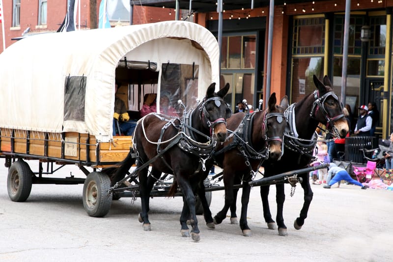 89er Celebration 2023