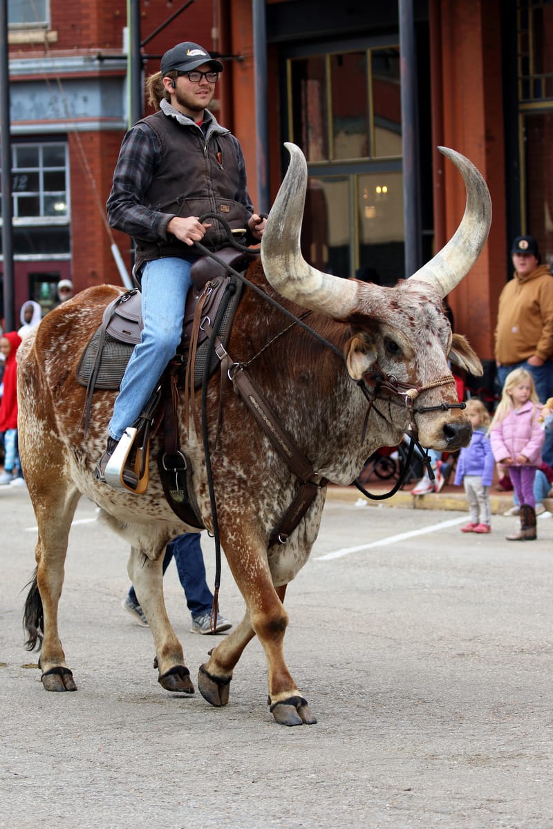 89er Celebration 2023