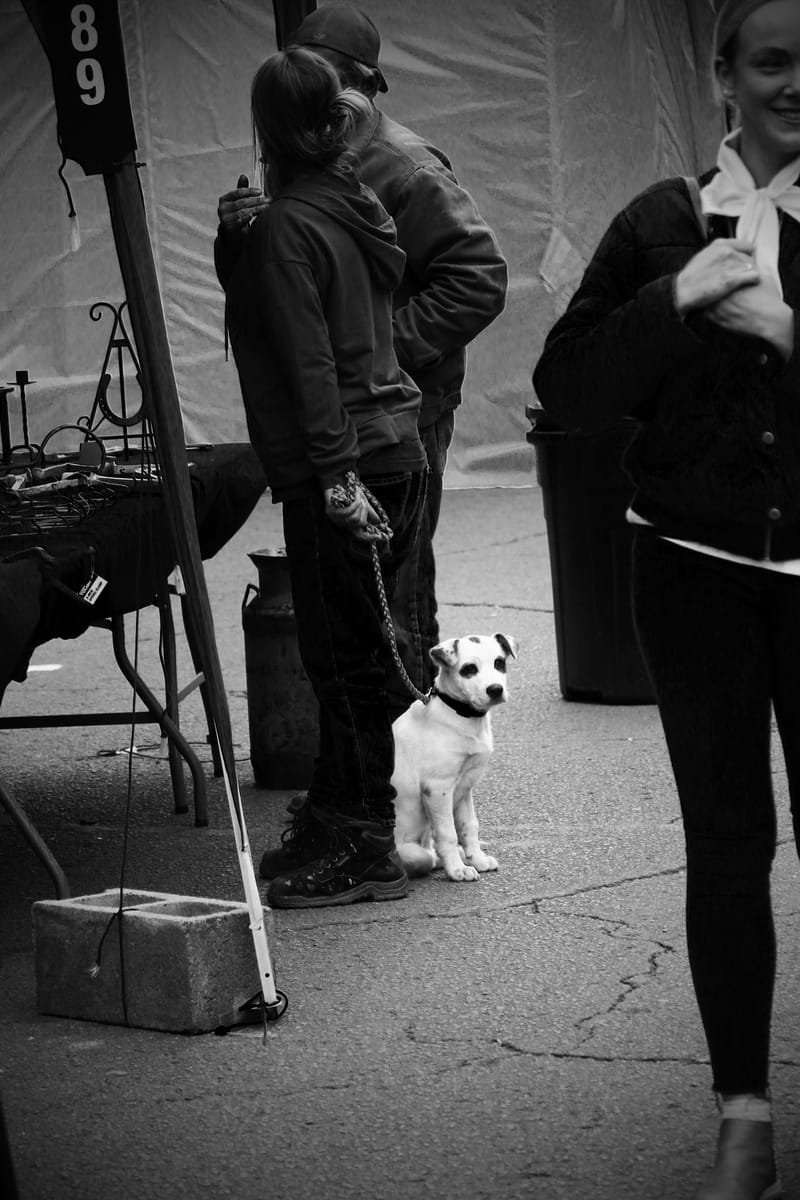 89er Celebration 2023