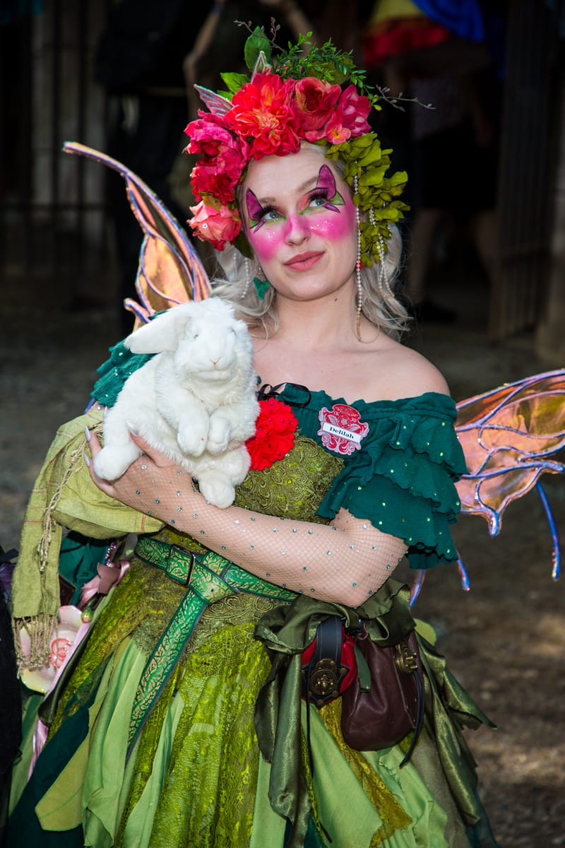 Medieval Faire May 20. 2023