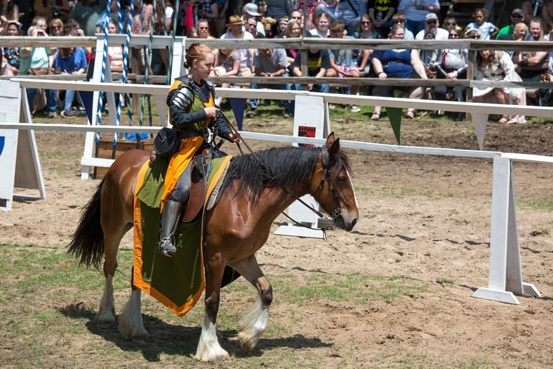 Medieval Faire May 20. 2023