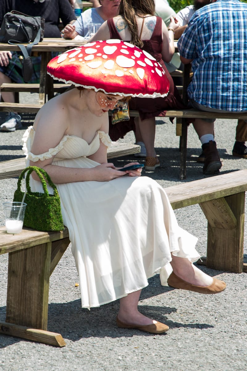 Medieval Faire May 20. 2023