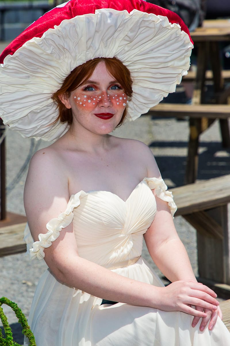 Medieval Faire May 20. 2023